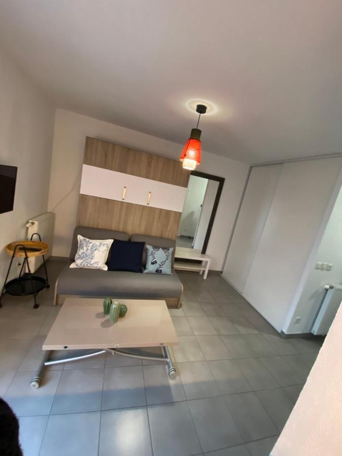 Studio Chic Little Boheme Proche Hopitaux, 15 Mn Du Centre ليون المظهر الخارجي الصورة