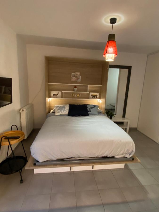 Studio Chic Little Boheme Proche Hopitaux, 15 Mn Du Centre ليون المظهر الخارجي الصورة